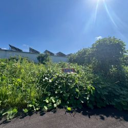 久留米市荒木町荒木 売地 8坪